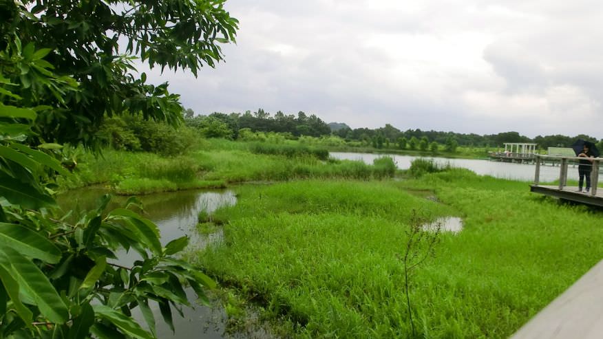 天水圍濕地公園